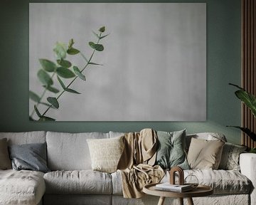 eucalyptus tak voor betonnen muur 3 van Monique de Koning