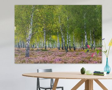 Landes et bouleaux dans la lumière du matin III sur Daniela Beyer