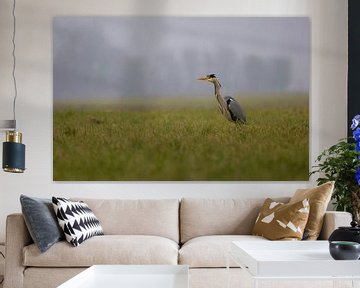 Blauwe reiger van Anton Kloof