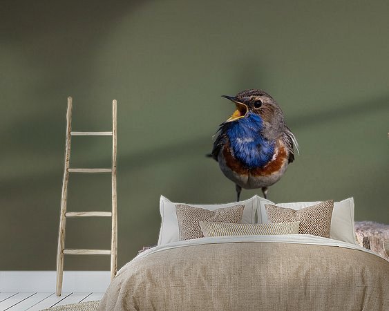 Aperçu de la chambre