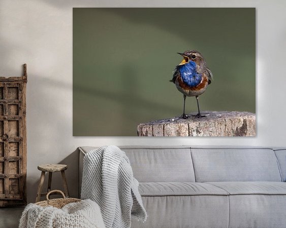 Aperçu de la chambre