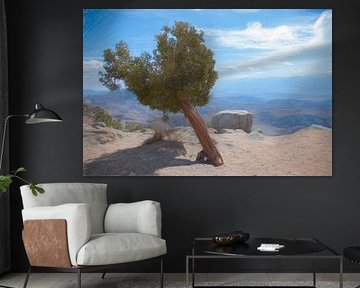 One tree Hill, Joshua Tree Park