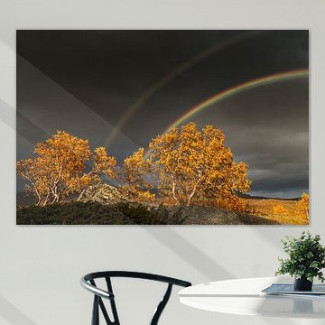 L'automne sur un haut plateau (Fjell) en Norvège