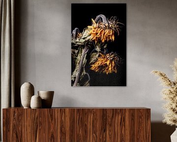 Sunflowers by M.W. v.Dam