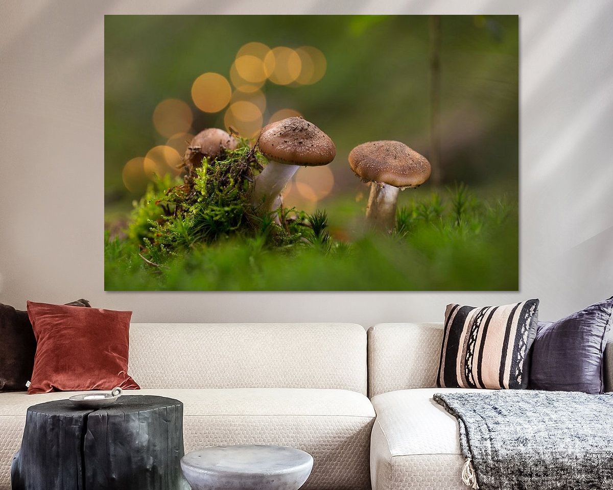Raumvorschau