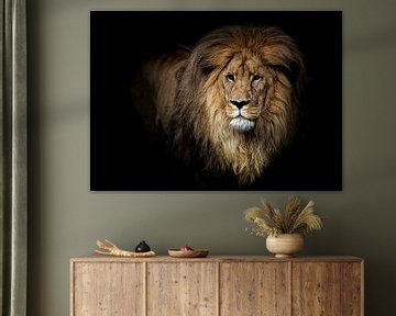 Portrait d'un lion sur Diana van Tankeren