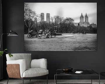Central Park by Maikel Brands