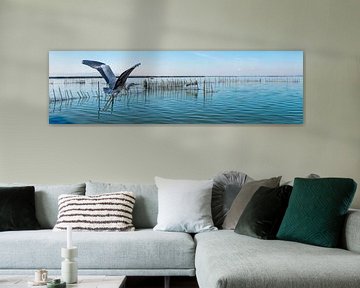 Panorama flying heron over lake by Dieter Walther