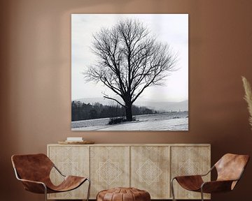 Baum in Winterlandschaft von WittholmPhotography