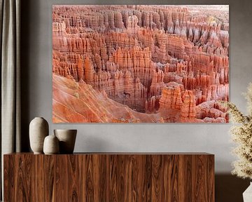 Bryce Canyon National Park, Utah, USA by Rob van Esch
