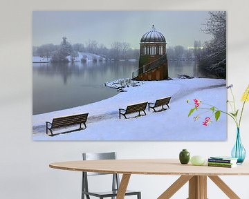 Seepark Freiburg im Winter von Patrick Lohmüller