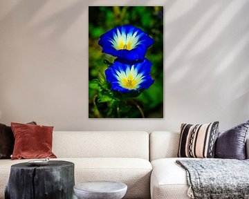 besondere Blumen