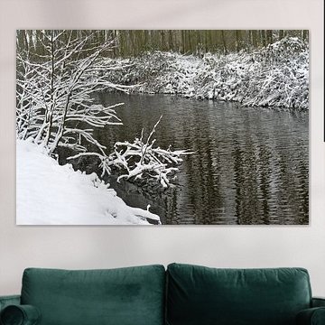 Snowy bushes beside the canal