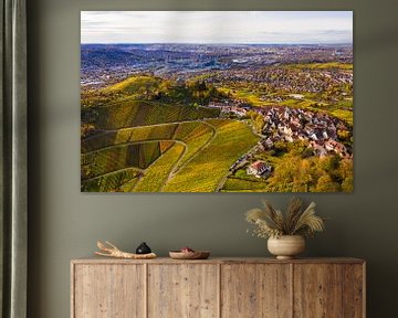 Aerial view of Stuttgart-Rotenberg with the grave chapel by Werner Dieterich