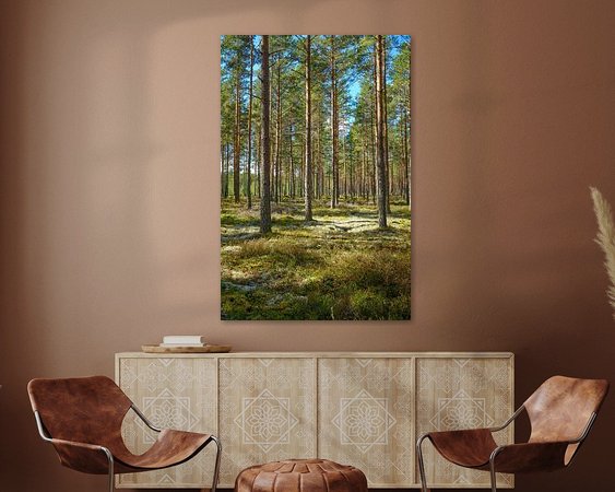 Aperçu de la chambre