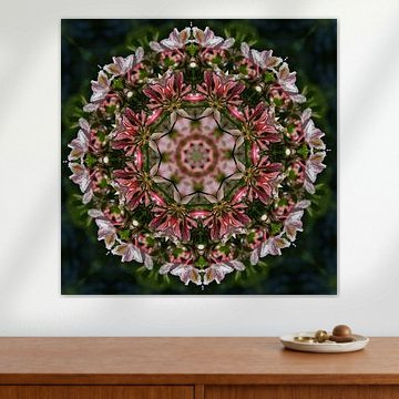 Kaleidoscope azalea