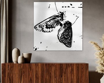 Schmetterlinge - Metamorphose von Christine Nöhmeier