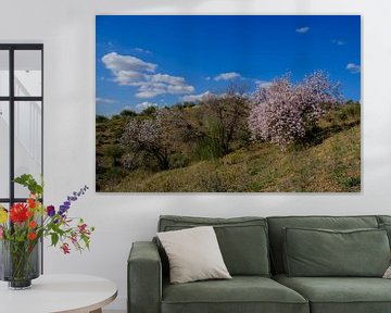 almond blossom by Peter Laarakker