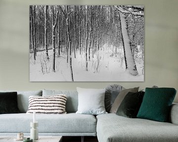 Jeune forêt en hiver sur Pieter van Dijk