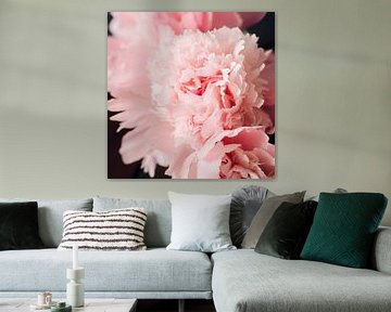 Beautiful Peonies by Michelle Rook