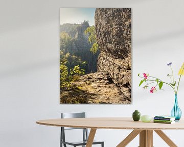 Bärenhornterrasse in der Sächsischen Schweiz - Aussicht auf den Heringstein von Pixelwerk