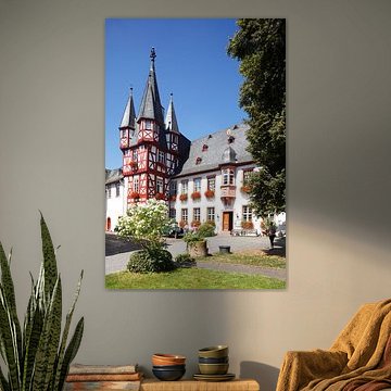 Brömserhof, Rüdesheim am Rhein, Rheingau, Hessen, Duitsland