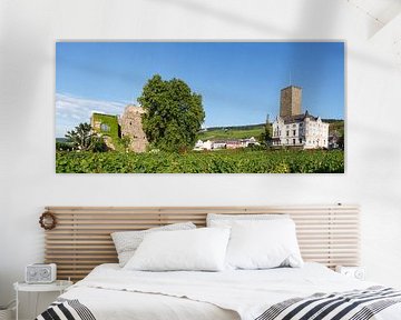 Ruedesheim on the Rhine : View of Brömserburg/Lower Castle and Boosenburg, Upper Castle