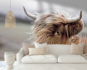 Schottischer Highlander Kalb Portrait von Diana van Tankeren