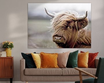 Scottish Highlander Calf Portrait by Diana van Tankeren