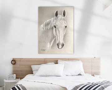 Paardenportret wit paard handgetekend van Marita Zacharias