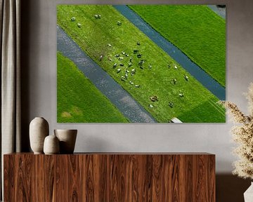 Niederländische Landschaft mit Kühen von Sky Pictures Fotografie
