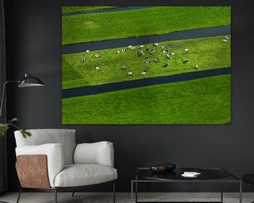Hollands landschap met koeien van Sky Pictures Fotografie