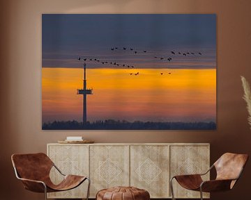 TV-toren bij Regensburg bij zonsopgang met een zwerm vogels van Robert Ruidl