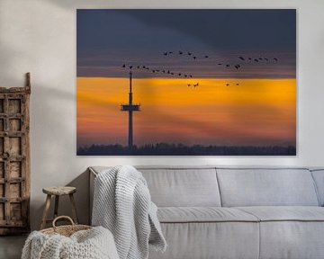 TV-toren bij Regensburg bij zonsopgang met een zwerm vogels van Robert Ruidl