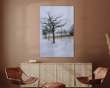 Wintersilhouet van Ingrid de Vos - Boom