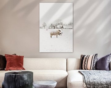 Neugieriges Lamm im Schnee | Outdoor-Fotografie von Holly Klein Oonk