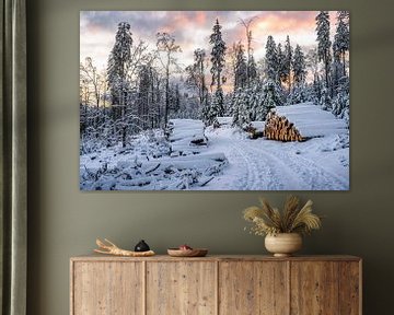 Bospad in de sneeuw en zonsondergang van Jens Sessler
