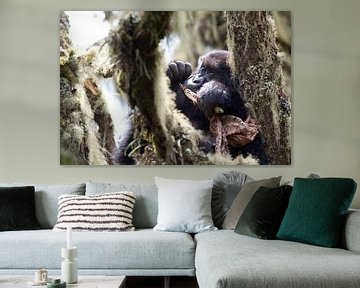 Baby gorilla in de jungle van Virunga, Rwanda van Teun Janssen