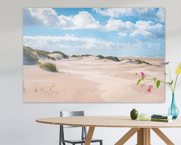 Dunes on the North Sea coast near Skagen by Florian Kunde