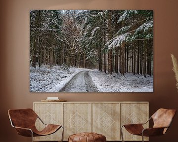Vroege winter in het bos van Uwe Ulrich Grün