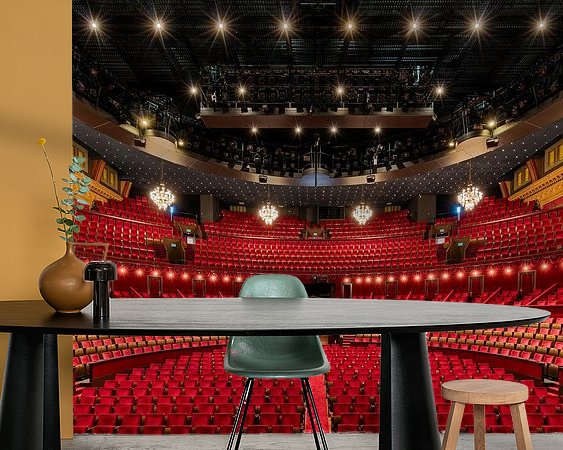 Aperçu de la chambre