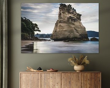 Cathedral Cove Te Whanganui-A-Hei New Zealand by Tom in 't Veld