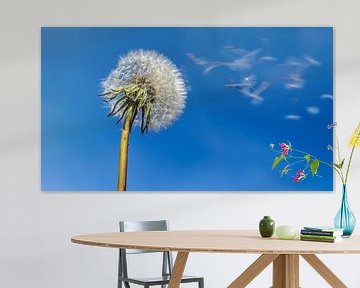 Dandelion in the wind by Dieter Walther