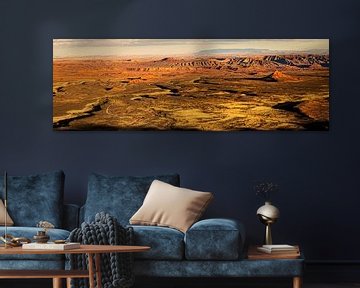 Panorama landschap Vallei van de Goden in Utah USA van Dieter Walther