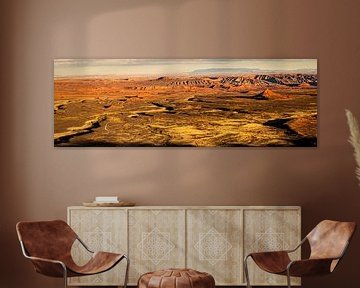 Panorama landschap Vallei van de Goden in Utah USA van Dieter Walther