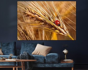 Ladybird by Rob Boon