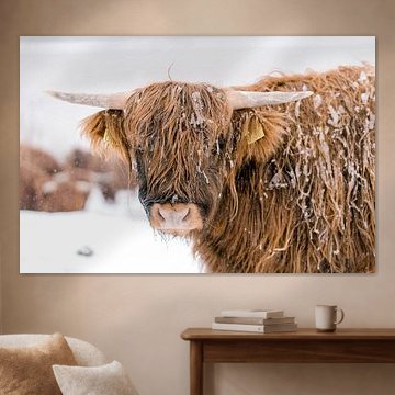 Scottish Highlander in the snow by Joyce van Wijngaarden