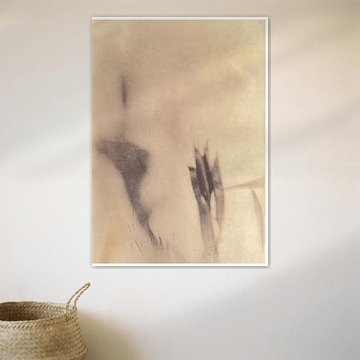 Close up _ Plant _ 04