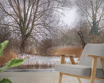 Uferschnepfe im Schnee