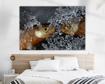 Fischen im Eis von Mascha de Lange